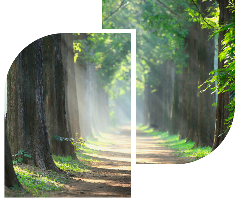 Greeting background