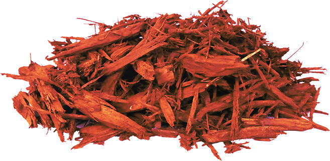 컬러우드 이미지